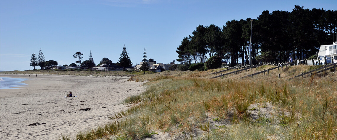 Sand dunes are our **natural barrier** between land and sea