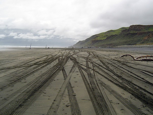 Vehicles can damage plants and habitat for species like dotterels and toheroa. Photo: Auckland Council