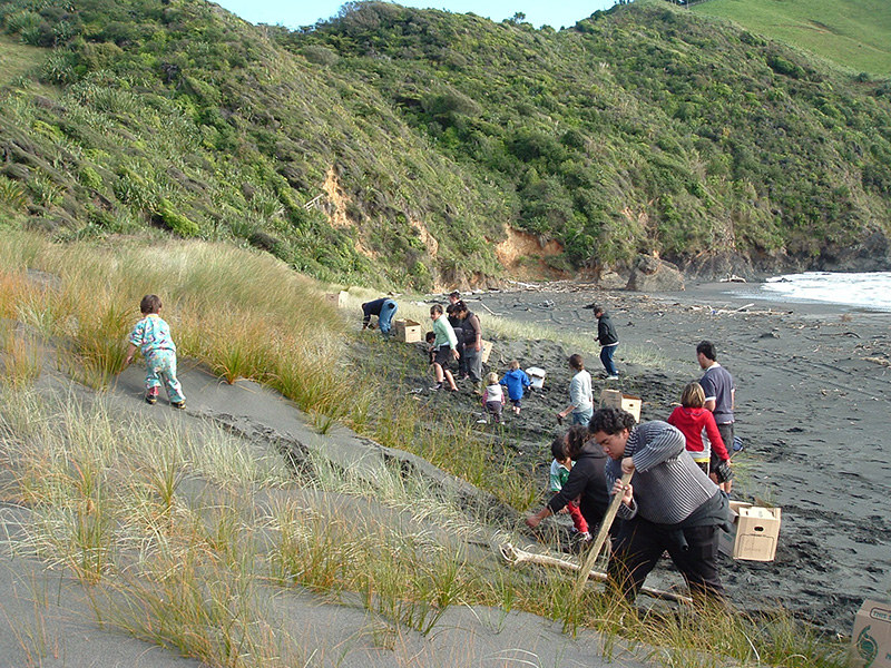Coast Care Groups • Coastal Restoration Trust of New Zealand