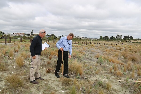 On-site field demonstration of proposed monitoring methods on dunes of Caroline Bay, Timaru with staff from the Timaru District Council. Project partners including councils and Coast Care groups nationwide are involved in evaluating and refining quantitative methods for assessing dune vegetation cover and condition.