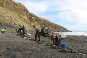 Planting August 2016 - Landowners Hamish and Bridget Nelson (fore-ground) getting stuck into the planting. The trial blocks were laid out prior to planting to ensure the correct planting pattern and even distribution of seedlings across the site was achieved.