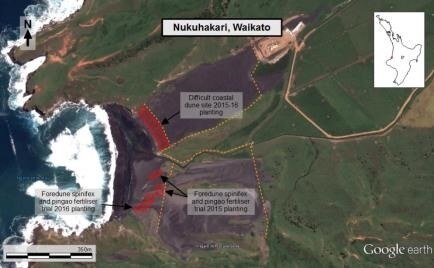 Location of the spinifex and pingao foredune planting trials comparing fertiliser types and the 2015-16 difficult site plantings at Nukuhakari Station, west coast North Island