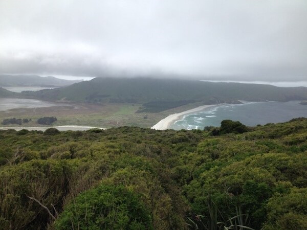 Aromoana, Otago Peninsula