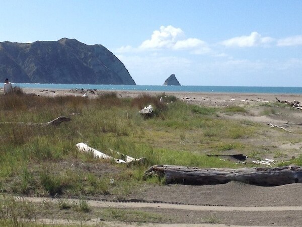 Tolaga Bay, East Coast