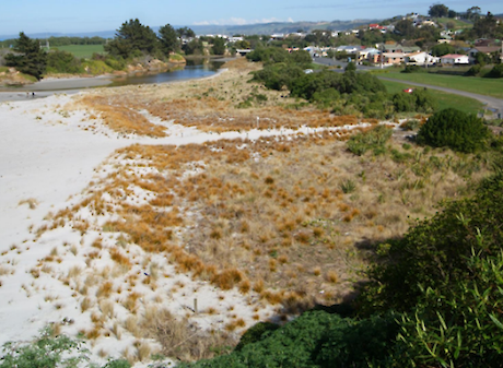 Example of the pocket beach restoration at Brighton, south of Otago Peninsula