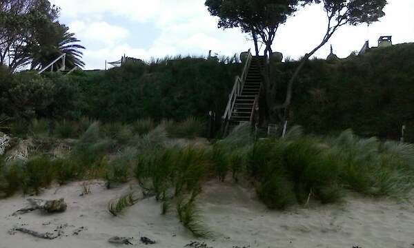 Example of recent Wainui Beach dunes restoration progress – informed by technical advice in 2017/18 for spinifex and pingao plantings on flat sand at base of dunes face, and of wiwi and NZ spinach on dunes face that was initiated by a Wairere Rd beachfront property owner (who also is a GDC staff member) inspired by dune restoration progress further north on the beach.