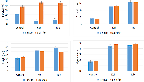 Figure 1: Mean survival, plant spread, height and plant vigour score for pingao and spinifex 12 months after planting at Port Waikato coastal dune trial. These results were similar across three other planting sites indicating koi carp fertiliser give similar boost to growth of sand binders to commercially available tablet slow release fertiliser. Growth response of both fertilisers were significantly greater than non-fertilised controls