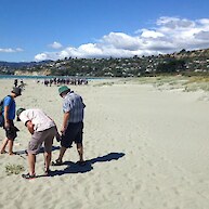 How long does it take an engineer and a botanist to walk down a beach?!!