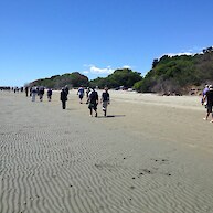 On the way to Tapu Bay by foot