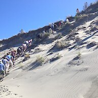 Scaling the dunes on Farewell Spit for a better view