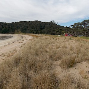 Dune restoration 2018. This coastal land is part of a parcel known as whenua Tupuna meaning passed down from generations of Tupuna.
