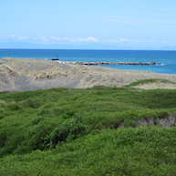 Dunes view