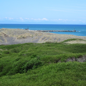 Dunes view
