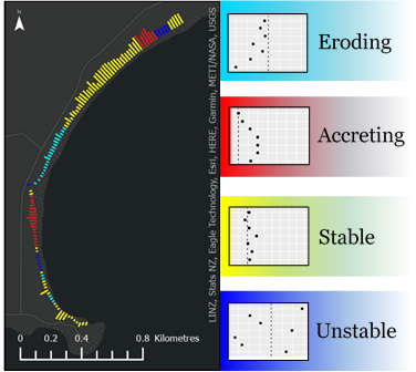 Figure 4: Transects of the shoreline at Curio Bay (length of transects differ for each year, this is then merged together). The transects were put into 4 groups