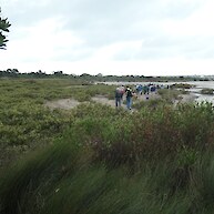 Tahuna Torea Nature Reserve field trip