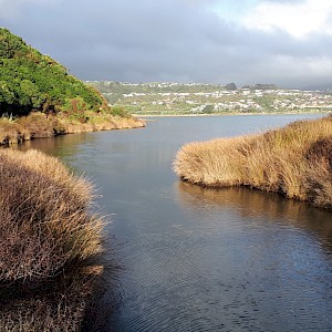Onepoto Estuary