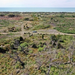 Drone aerial looking seaward along the dune transect after the burnt coastal pine buffer was clear-felled.